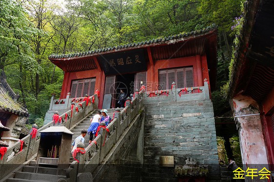 振動(dòng)篩的市場(chǎng)需求分析