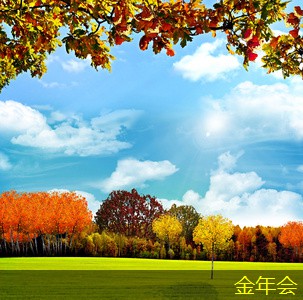 環(huán)保機(jī)械在航空領(lǐng)域的技術(shù)突破