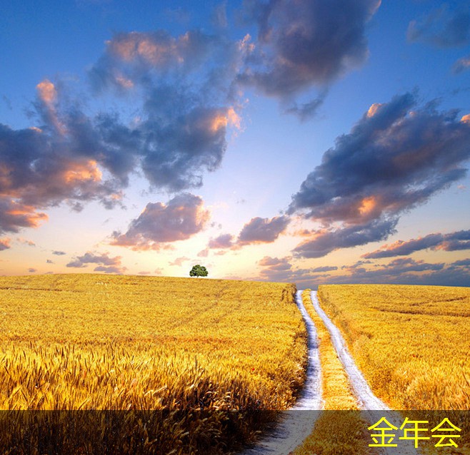 輸送機械的性能提升方案