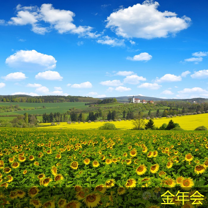 輸送機(jī)械的環(huán)保節(jié)能技術(shù)